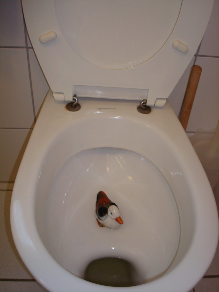 German toilet