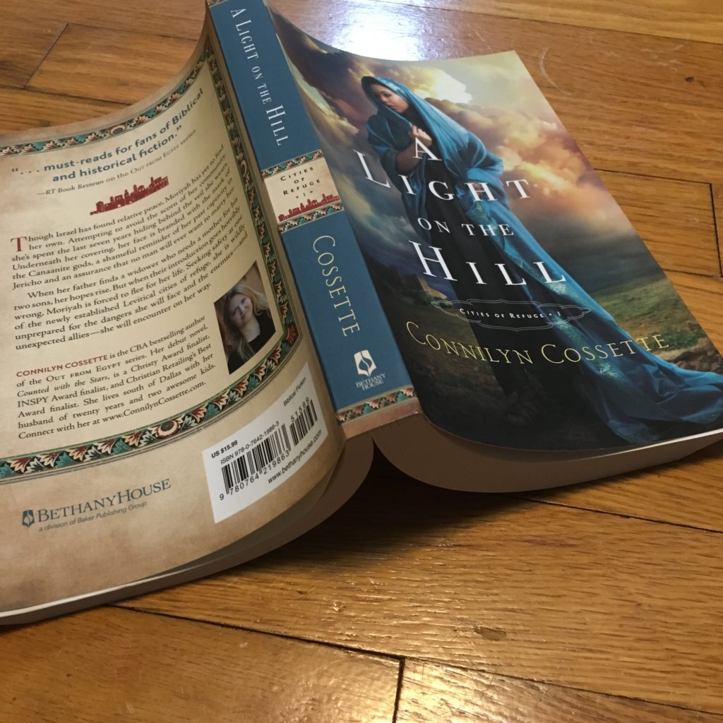 Book Recommendation: A Light on the Hill by Connilyn Cossette